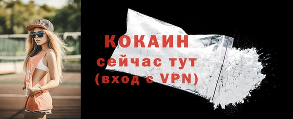 первитин Осинники