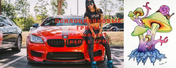 сатива Алексеевка