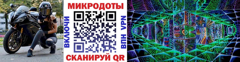 мега маркетплейс  купить наркотики сайты  Каменногорск  Псилоцибиновые грибы мицелий 
